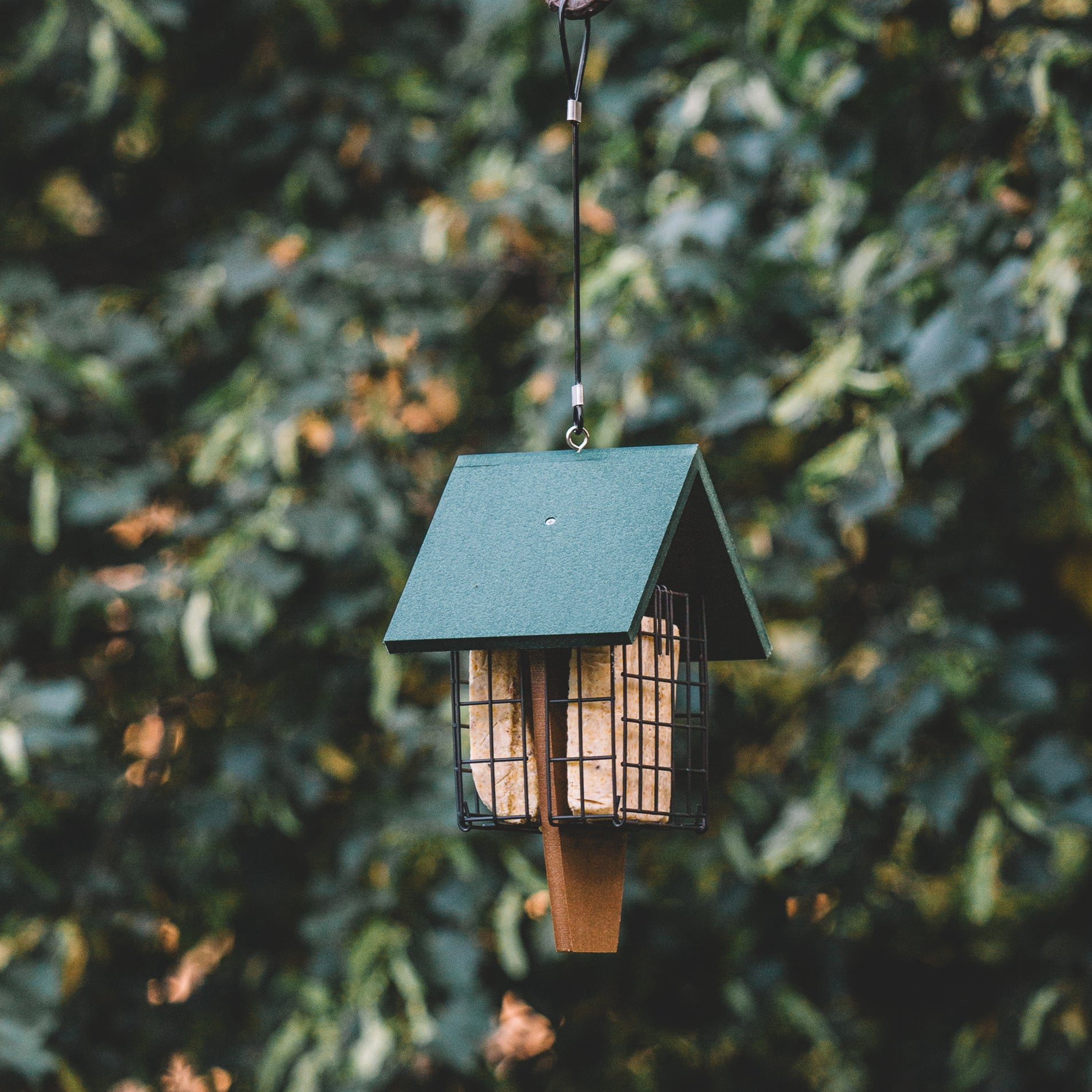 Backyard Expressions SAWTOOTH Plastic Lumber Bird Feeder w/ Suet Cages