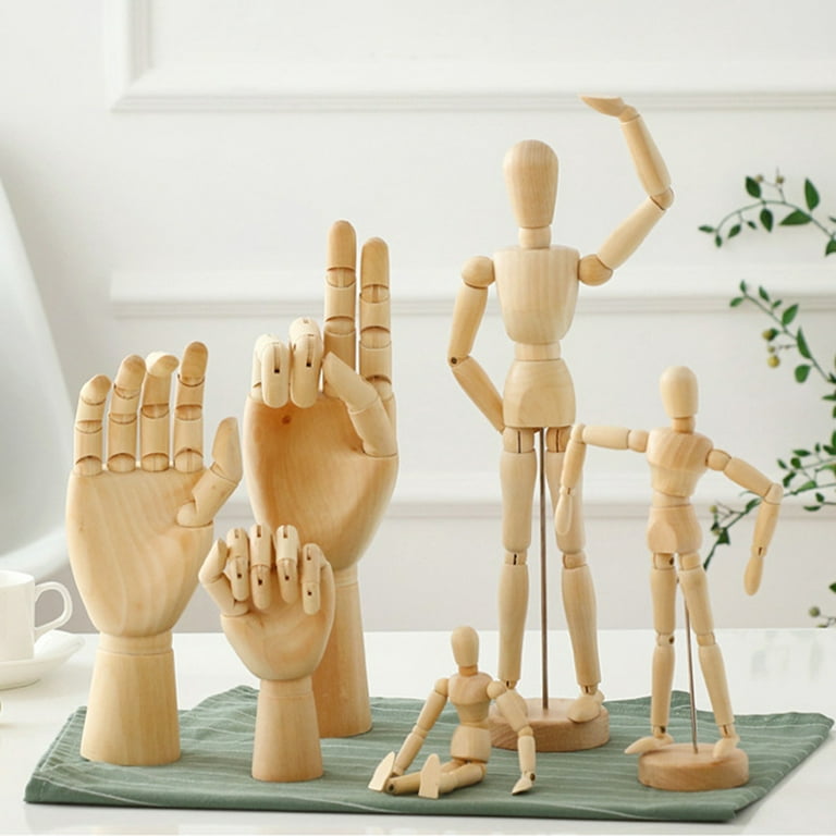 GLOGLOW Wooden Hand Model, 11 inch Moveable Jointed Articulated Flexible  Fingers Hand Mannequin for Sketching Drawing Home Office Desk Decor  Gift(Male