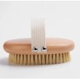 thumbnail image 2 of Short Hair Dog B R Ush P Ets P Alm Br Ush with B Ristles Soft Br Istle Pet B R Ush for Daily Grooming Cats Dogs, 2 of 8