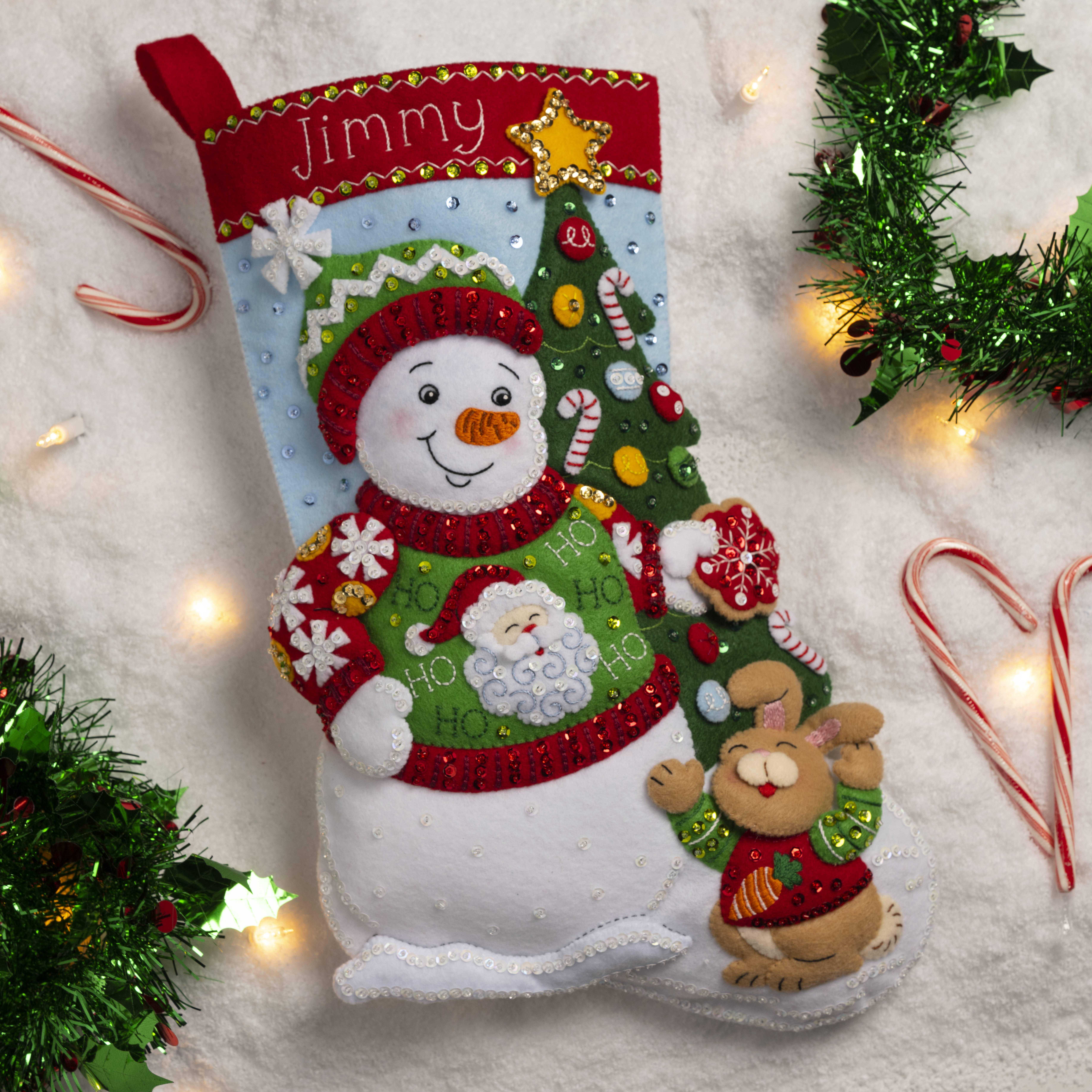 Bucilla Felt Applique 18 Stocking Making Kit, Doctor Santa, Perfect for  DIY Arts and Crafts, 89325E