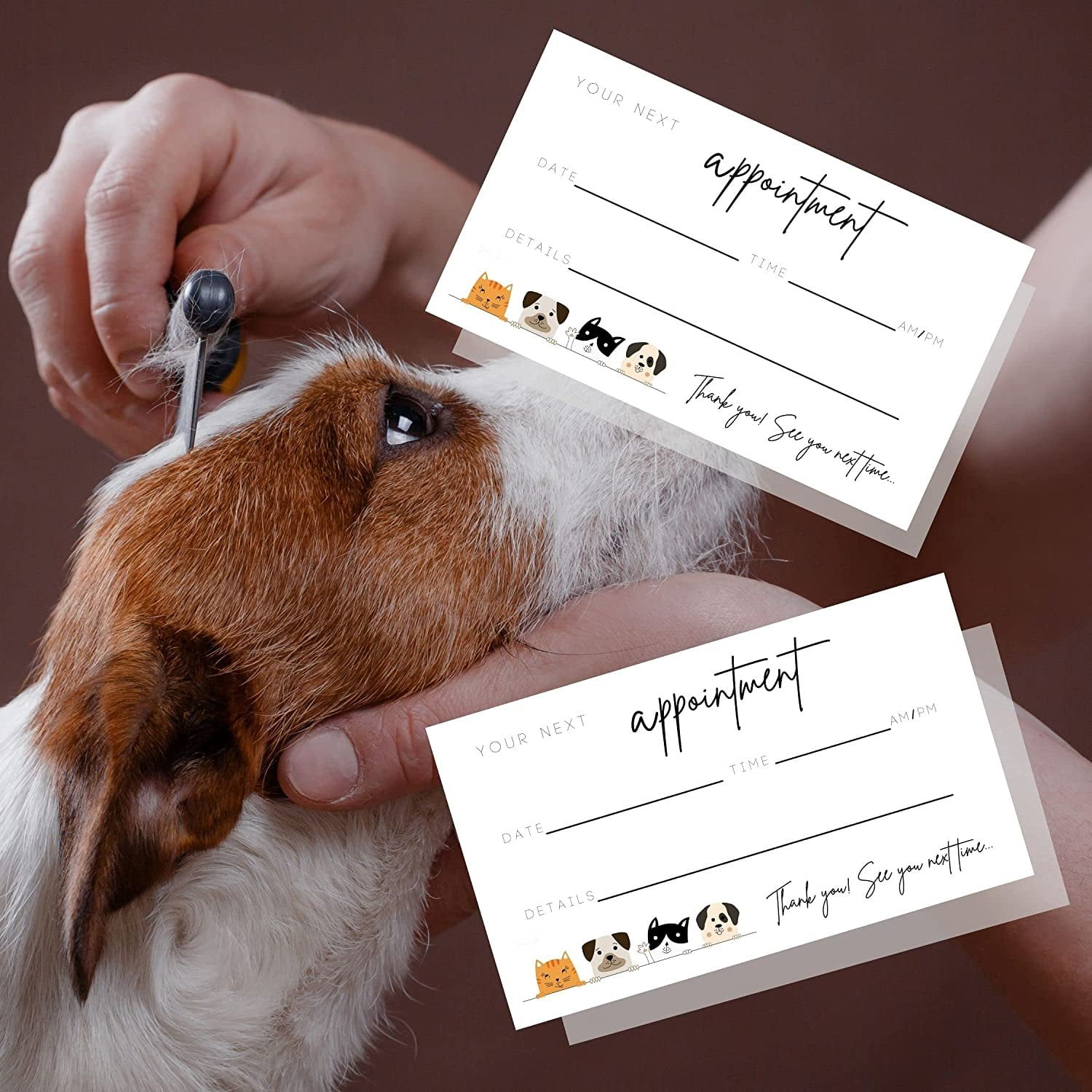 Pet Grooming Appointment Reminder Cards Physical Printed 2x3.5