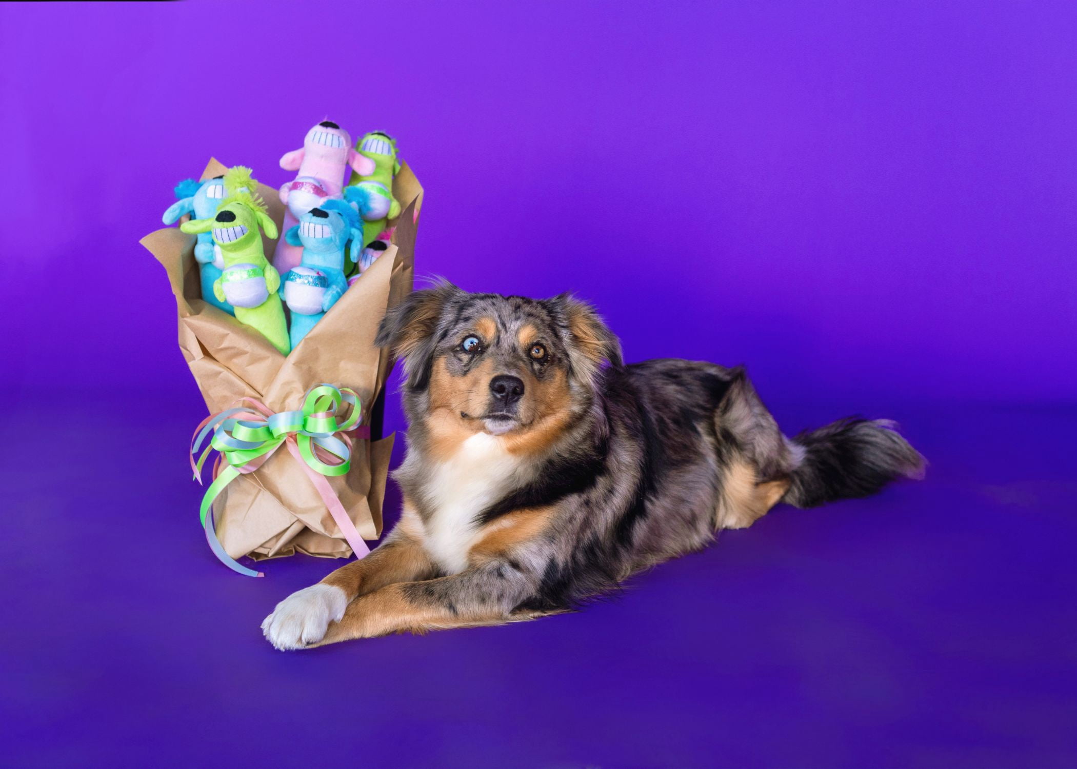 Multipet Plush Birthday Loofa Dog Toy with Squeaker, Pink