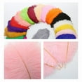 thumbnail image 4 of Plumes 23cm Environ Accessoires de Scène Plumes Colorées pour Mur, 4 of 7
