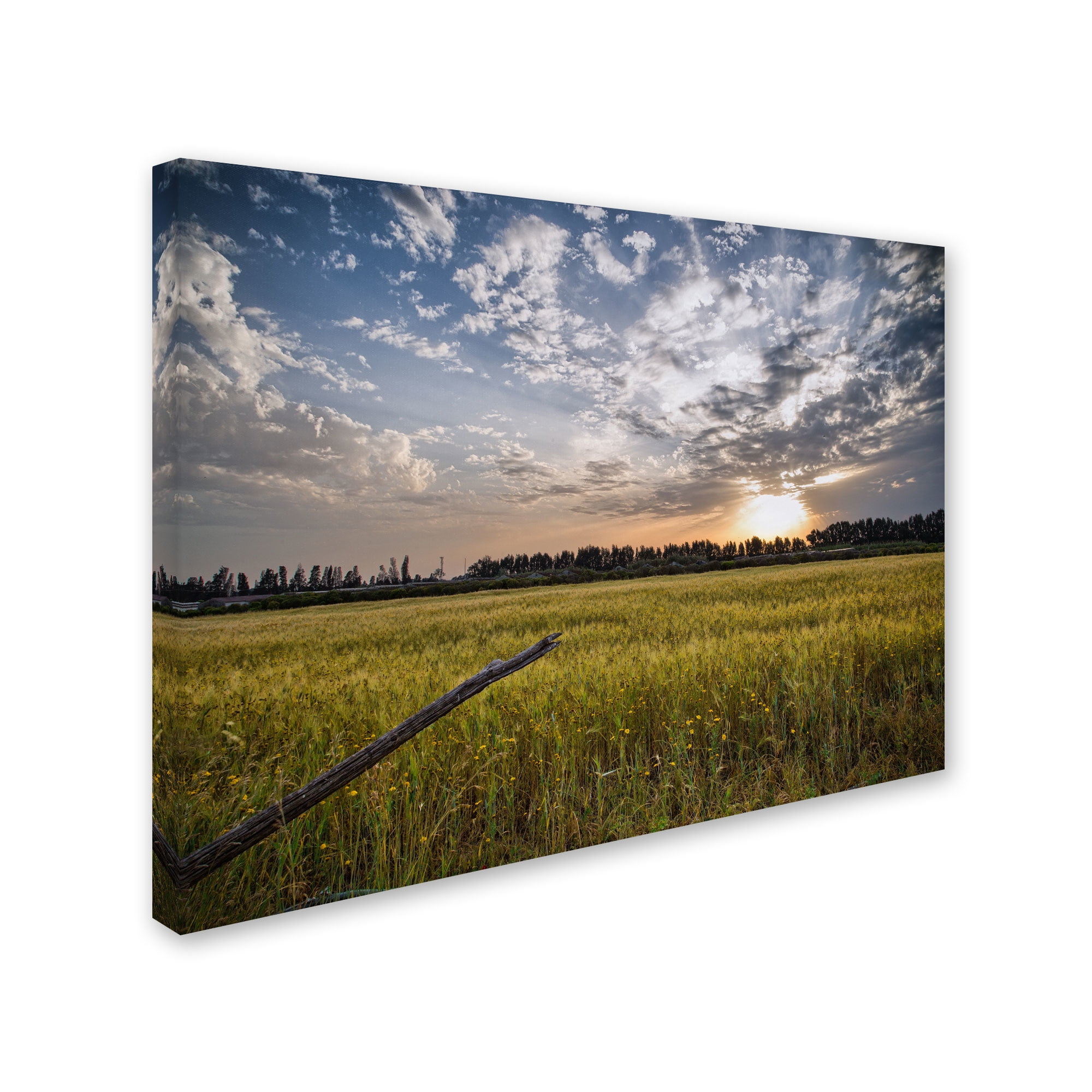 Trademark Fine Art "End of Day" Canvas Art by Giuseppe Torre