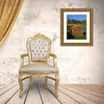thumbnail image 3 of Terrill, Steve 26x32 Gold Ornate Wood Framed with Double Matting Museum Art Print Titled - OR, Willamette Valley House made of pumpkins, 3 of 4