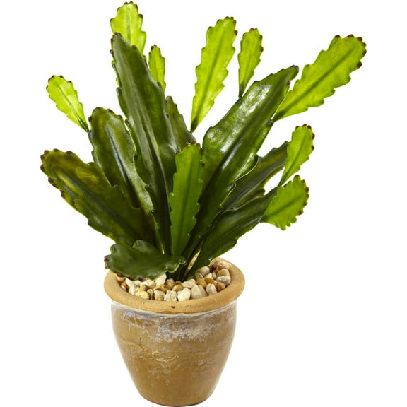 Nearly Natural Cactus in Glazed Clay Pot