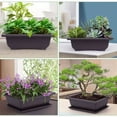 thumbnail image 7 of CoreLiving Bonsai Pot with Drainage Mesh - Small Plastic Bonsai Tree Pots for Indoor Plants, Real Bonsai Tree Training Pot with Irrigation Holes, Humidity Tray, Beginner & Home Gardening Kit, 7 of 7