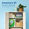 Puff plus lotion facial tissue puffs plus facial tissues 24 boxes