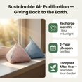 thumbnail image 4 of 4 Pack of 200g Naturally Activated Air Purifying Bags & 56 Colorful Push Pin Magnets | Natural Home Deodorizer Bags | 7 Assorted Color Strong Magnetic Push Pins | Organic, Eco Friendly, 4 of 4