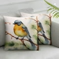 thumbnail image 2 of COMIO  Vintage Watercolor Animal Birds Decorative Farmhouse Pillow Cover Adorable Birds&nbsp;are Singing&nbsp;Square Outdoor Throw Pillow Cushion Cover Set of 2, 2 of 6