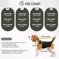 thumbnail image 2 of ROZKITCH Dog Calming Vest,Dual Adjustable Shirts for Dogs,Dog Anxiety Vest Jacket for Fireworks,Thunderstorm,Travel,Separation,Anxiety Calming Vest Wrap for Medium Large Dog,Green,M, 2 of 7
