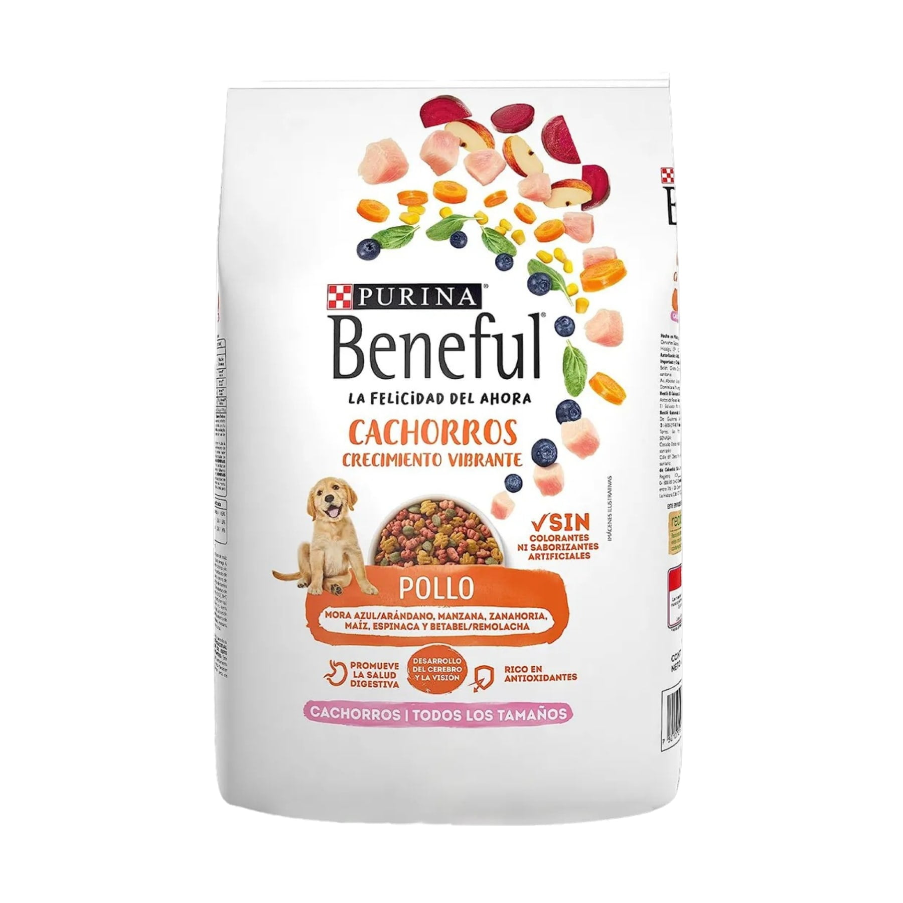 Beneful 10 kg walmart online