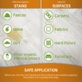 thumbnail image 3 of Nature'S Miracle Oxy Formula Set-In Stain Destroyer Orange Scent 24 Oz. Spray, 3 of 5