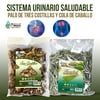 Palo de Tres Costillas y Cola de Caballo Horsetail Hierba/Tea 4 Onzas c/u Sistema Urinario Saludable