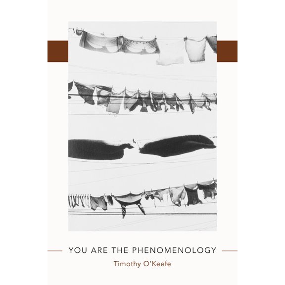 Juniper Prize for Poetry You Are the Phenomenology, (Paperback)