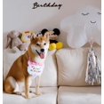 thumbnail image 4 of Bandana para mascotas con texto en inglés "Happy Birthday" para gatos y perros, bufandas y gorro de fiesta, miniperro, accesorios para mascotas, rosa A, 4 of 5
