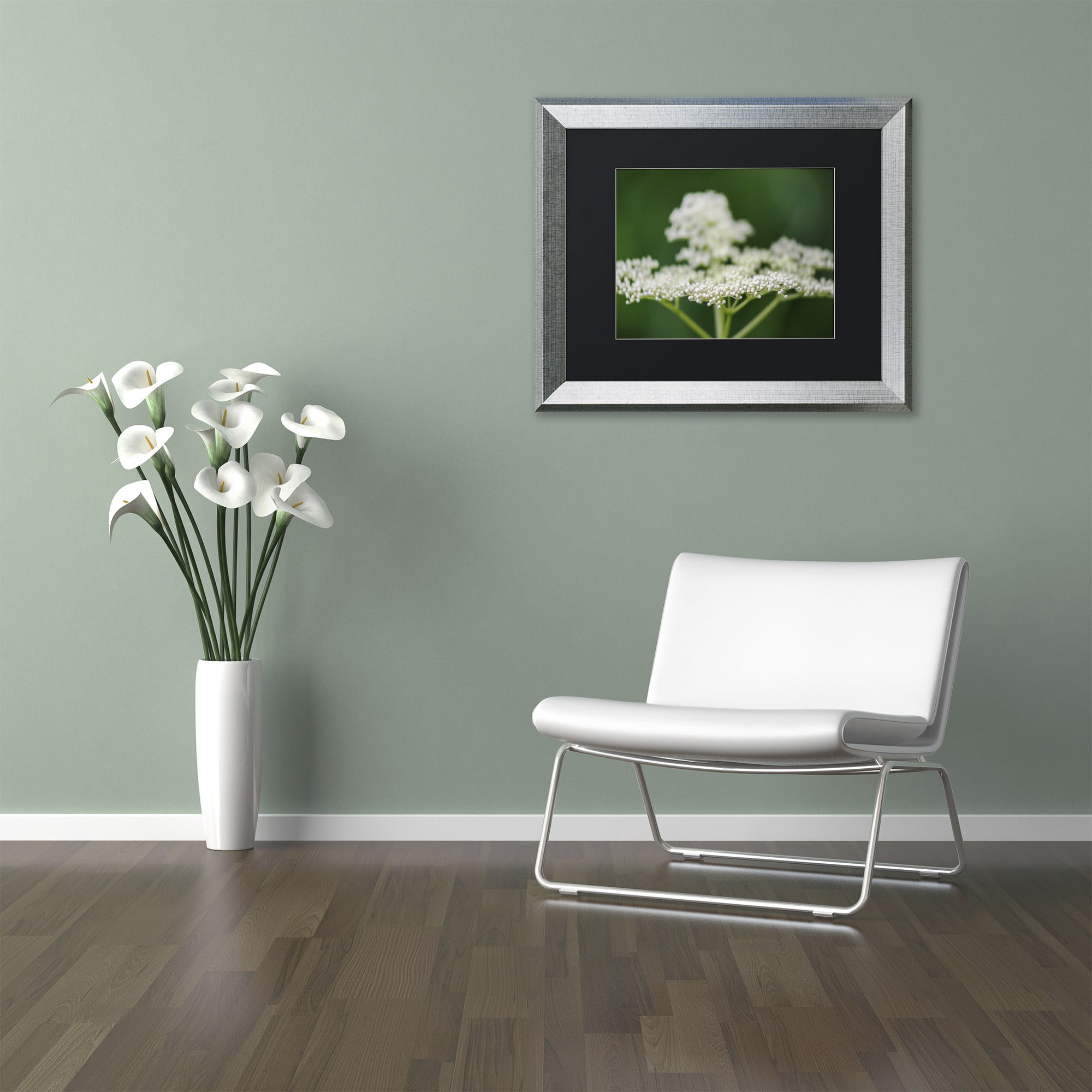Trademark Fine Art "Nature is Amazing" Canvas Art by Kurt Shaffer, Black Matte, Silver Frame
