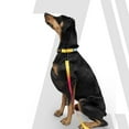 thumbnail image 5 of Zoomiez Printed Dog Leash/Lead with Comfortable Padded Handle, 4 Ft with Heavy Duty Slide Locking Hook - Solar, 5 of 5