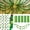 Rainforest-500Pc, variant on 1000 Sheet Paper Chain Strips and Star Garland Set, Rainbow Paper Chains and 65 ft Gold Stars Decor with 492 ft Crepe Paper Streamers for DIY Crafts Pride Month Birthday Wedding Theme Party