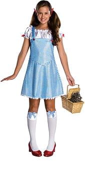 Wizard Of Oz Dorothy Costume Tween Small - Walmart.com