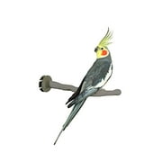 K&H PET PRODUCTS Thermo-Perch Heated Bird Perch Regular Finish, Gray, Small/1" x 10.5", FFP Packaged Thermo-Perch