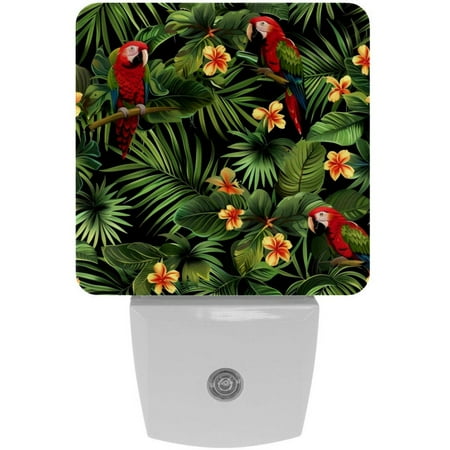 

Jungle Parrots with Palm Leaves Pattern LED Night Lights Dusk To Dawn Smart Sensor 0.5W Plug-In Night Lights Lamp For Bedroom Bathroom Kitchen Hallway Stairs 2Pack