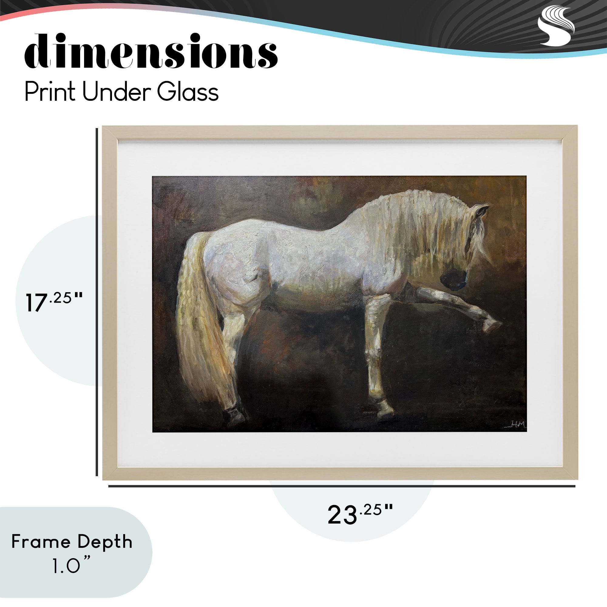 Stupell Industries Elegant White Stallion in Motion Birch Framed Print Under Glass, design by Hilary McCarthy