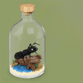 thumbnail image 2 of Giant Ant in a Bottle Desert Building Block Set, 2 of 3