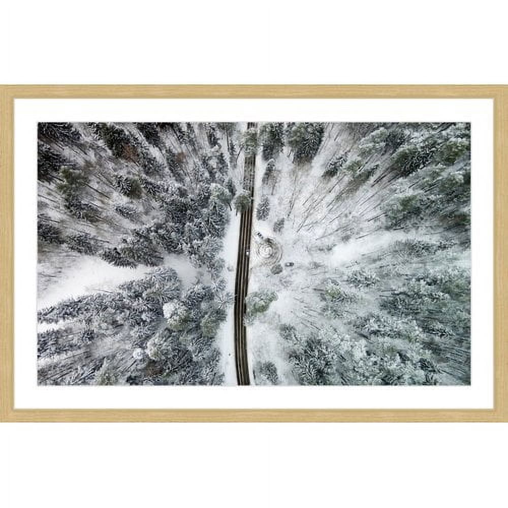 Marmont Hill "Amid the Cold" by Karolis Janulis Framed Painting Print