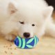 thumbnail image 3 of Pelota De Fuga De Alimentos, Juguete Para Perros, Juguete Interactivo De Limpieza De Dientes, Juguetes De Fútbol Para Perros, Pelota De Juguete Para Perros Para Mascotas ANGGREK Otros, 3 of 8