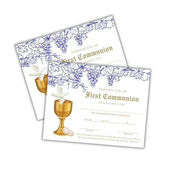 First Communion Catholic Certificate 30pk 8.5x11 Gold Wine Grapes Reconciliation Sacrament Confirmation Romar Rite Religious Milestone Teaching