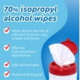 thumbnail image 3 of Pharma-C 70% Isopropyl Alcohol Wipes [40 wipes], 3 of 7