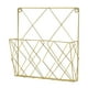 thumbnail image 5 of Revistero metálico de pared, soporte para periódicos y libros, folleto decorativo Oro, 5 of 9