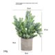 thumbnail image 1 of Plantas artificiales para decoración del hogar en interiores. 1 Mini Plantas, Decoración de Plantas Falsas de Romero, Plantas de Hierba. Pequeño estante falso o decoración de escritorio con, 1 of 5