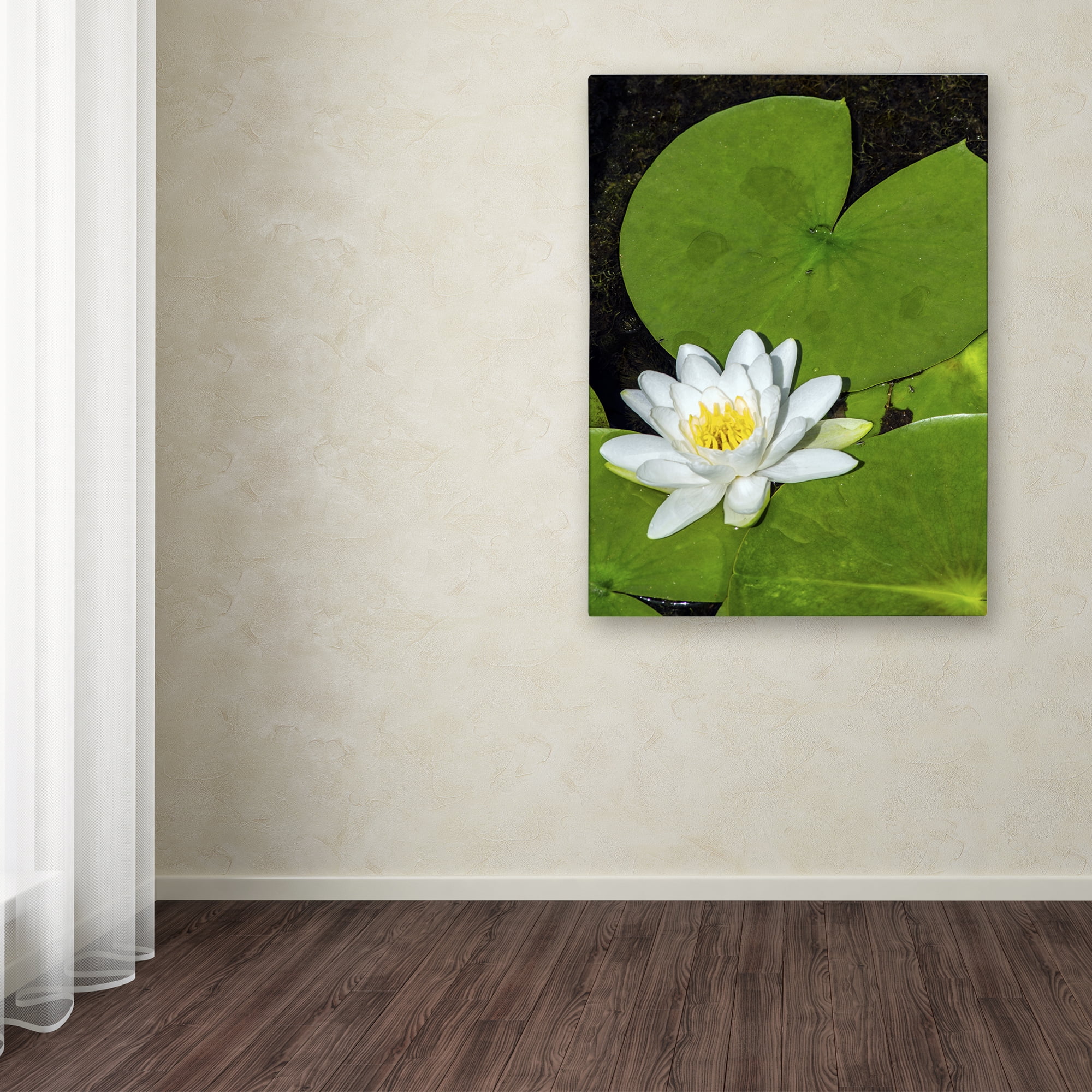 Trademark Fine Art "White Lotus" Canvas Art by Kurt Shaffer