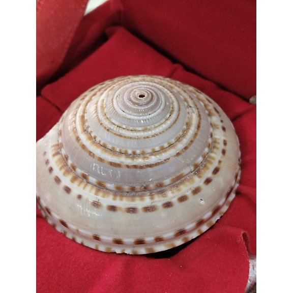 Vishnu chakra Talisman Freedom from Black Magic Ghosts Enemies