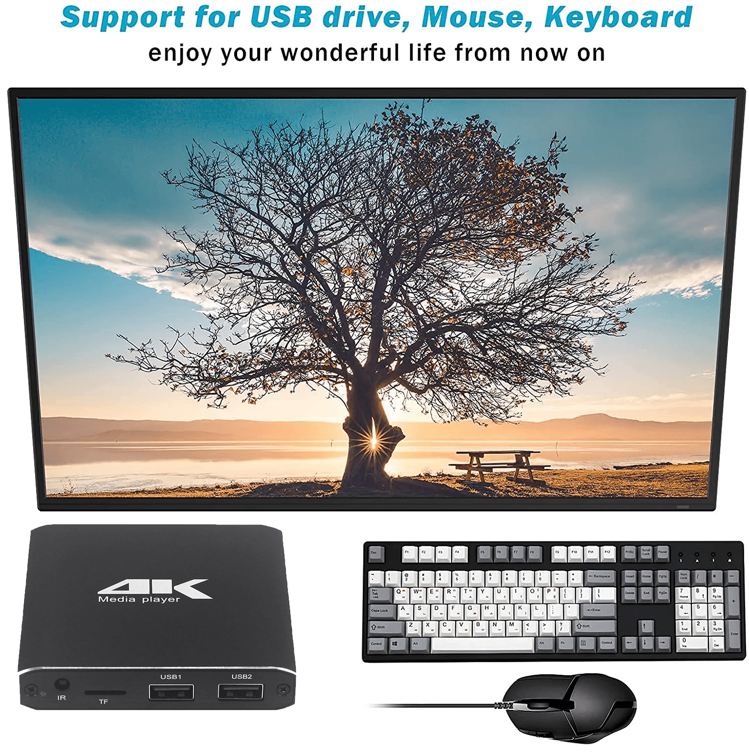RIWPKFH 4K H.265 Advertising HD Media Player Mini 1080P Full HD MP4 Video MultiMedia HDD Player For Micro SD TF Card USB Disk Pen drive