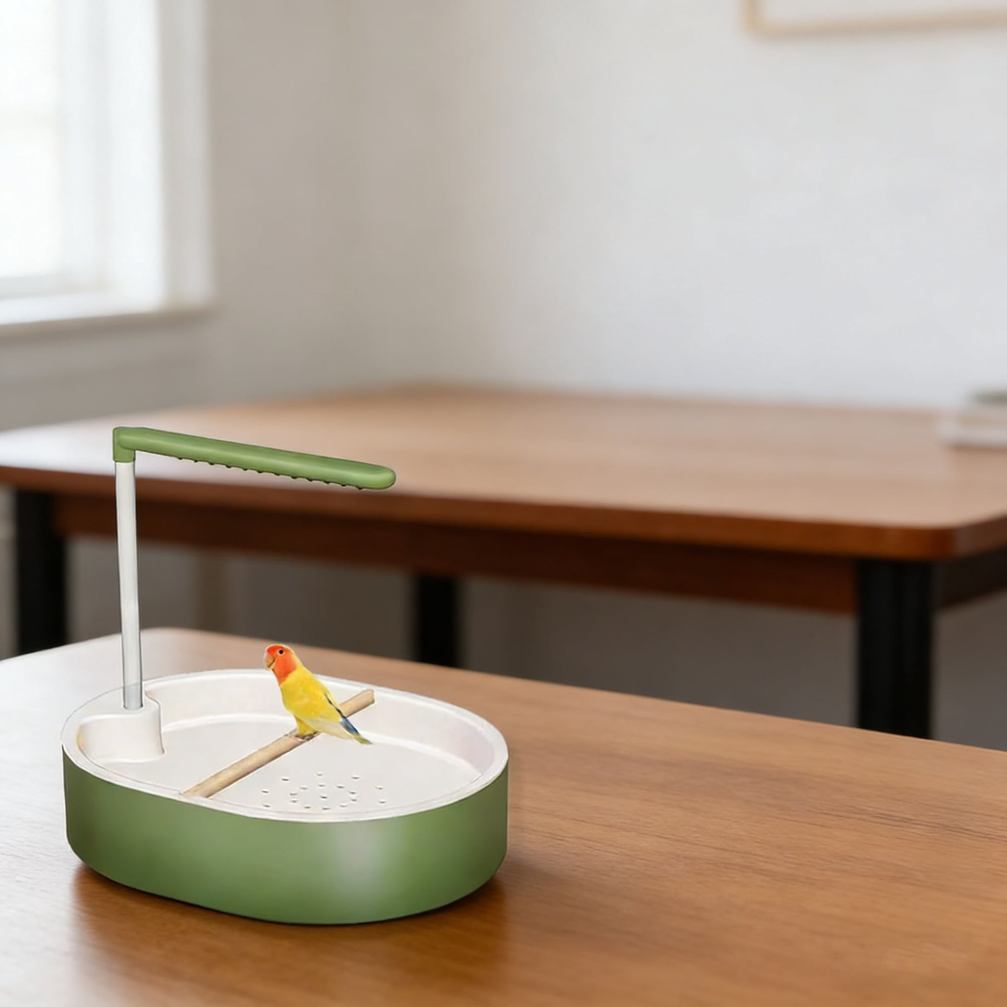 Parakeet Bird Bath for Cage Indoor,Parrot Bird Shower Budgie Bath Splash Guard,USB Charging Quiet Pump Detachable Bathtub,Automatic Circulating Water Bathtub for Pet Bird.