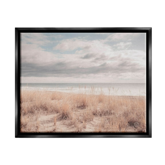 Stupell Industries Grassy Ocean Shore Horizon Photograph Jet Black Floating Framed Canvas Print Wall Art, Design by Nathan Larson