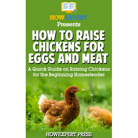 How to Raise Chickens for Eggs and Meat: A Quick Guide on Raising Chickens for the Beginning Homesteader - (Best Meat Chickens To Raise)