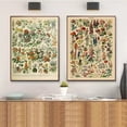 thumbnail image 5 of Pósteres y grabados al óleo sobre lienzo de arte mural clásico vintage con plantas, hongos, medicinas, flores, insectos, mariposas, verduras, calabazas y zanahorias, 5 of 5