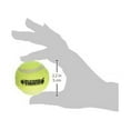 thumbnail image 3 of Beyond Tough Tennis Balls, 2", 2pk, Small, Mint Flavored, 3 of 3