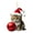 H, variant on Christmas Cat Ornaments Acrylic Cats with Santa Hat Pendant Cute Cartoon Cats Ball Ornament 2D Flat Kitty Xmas Tree Hanging Decor for Car Window Bag