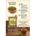 thumbnail image 2 of Té de Ruda Seca Herbal B-Experts 113g Natural Vegano, 2 of 9
