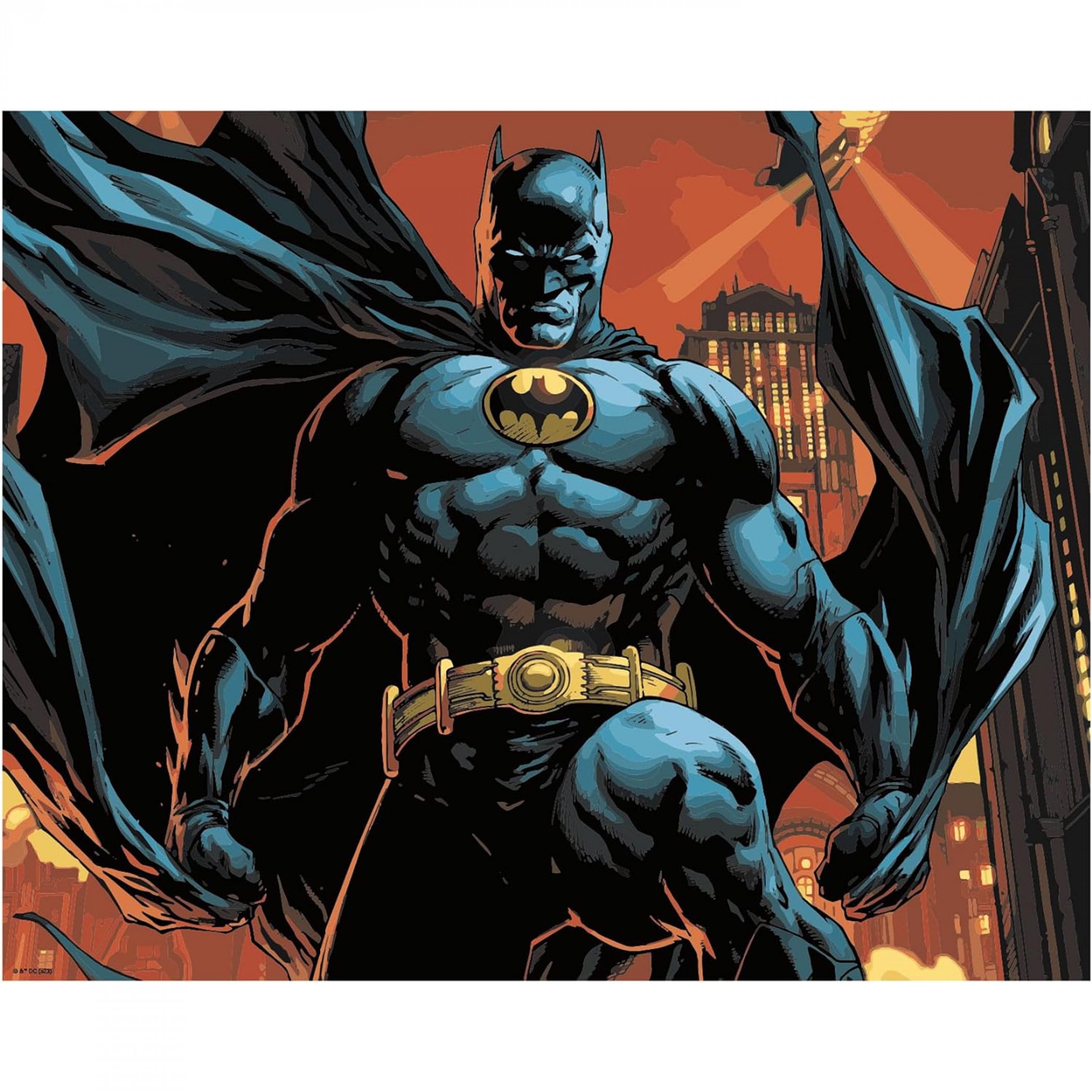 Batman 872429 16 x 20 in. No. 1000 Variant Paint by Numbers Kit