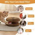 thumbnail image 3 of Kitty Toys Magic Organ Cat Scratching Board Toy for Indoor Cats Twisty Paws cat Toys Foldable Accordion Honeycomb Kitten curlz Cat Scratcher with Ball (1pcs), 3 of 8