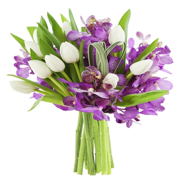 KaBloom : 10 White Tulips, 5 Purple Mokara Orchids, 3 Greens with vase Next-Day Delivery.