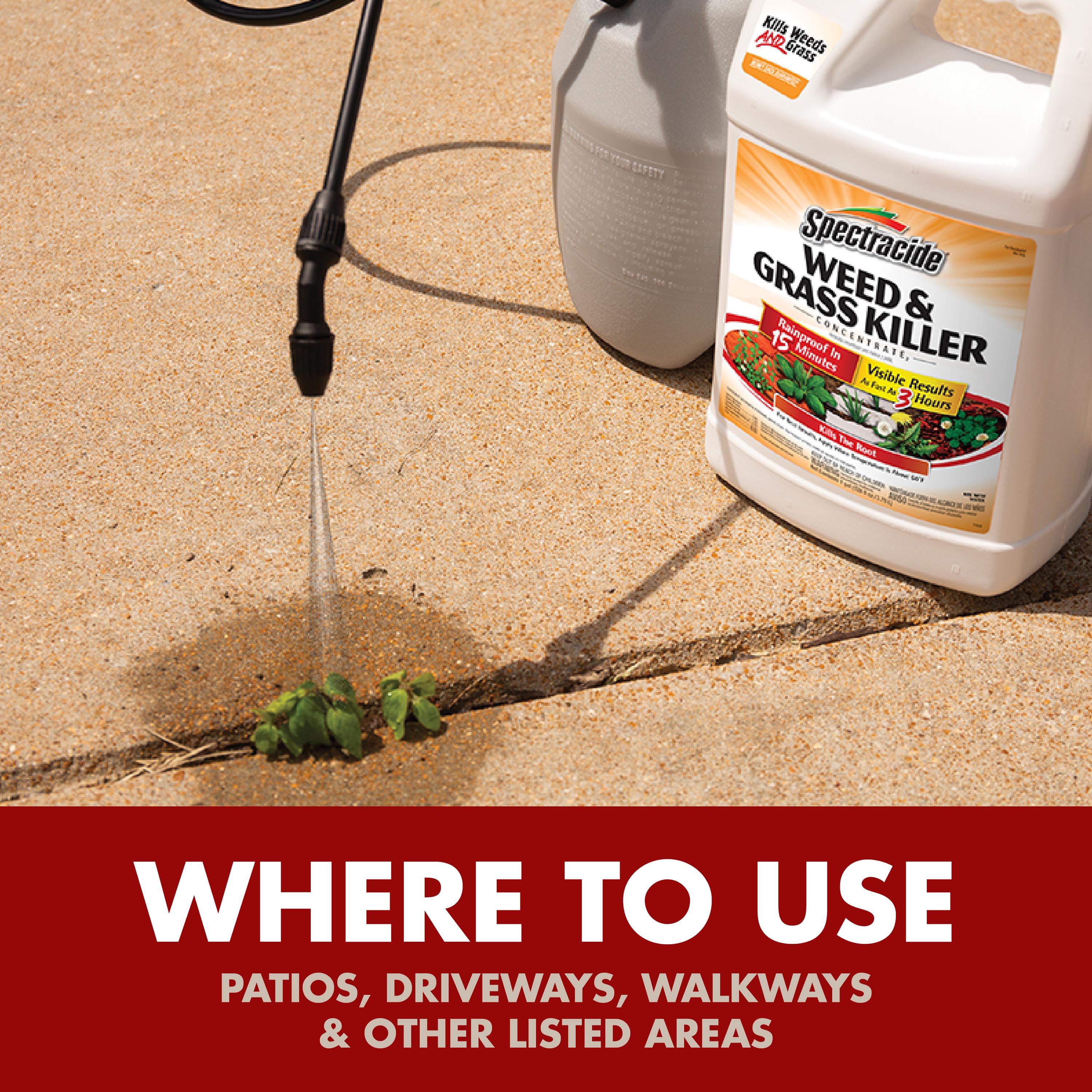 Spectracide Weed & Grass Killer Concentrate, 1 Gallon