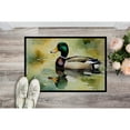 thumbnail image 5 of Carolines Treasures DAC3241JMAT 24 x 36 in. Unisex Mallard Doormat, 5 of 6