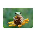 thumbnail image 1 of Balery Tree Frog Sitting On Sunflowes Felpudo de franela, resistente a las manchas y a la decoloración, para uso interior y exterior, fácil de limpiar, 40 x 60 cm, 1 of 7